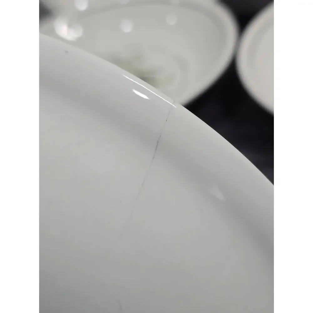 Williams Sonoma WSO20 Olea Europaea Pasta Bowls Set of 4 + 1 FREE Cracked Bonus